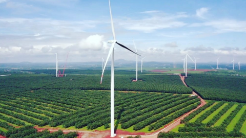 Bản tin năng lượng số 18/2024