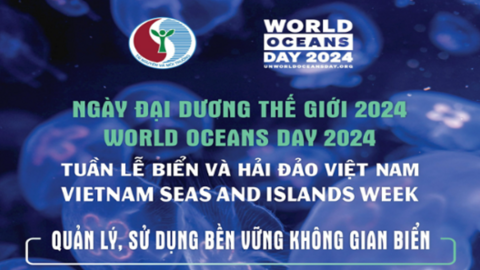 Tổ chức các hoạt động góp phần bảo vệ, phát triển bền vững tài nguyên biển, đảo