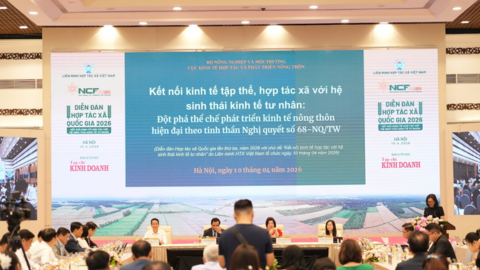 Diễn đàn Hợp tác xã Quốc gia 2026: Mở hướng đi mới cho kinh tế hợp tác trong giai đoạn thực thi