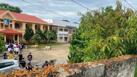 Lạng Sơn: Cấp phát thuốc bảo vệ thực vật để ngăn chặn châu chấu tre lưng vàng