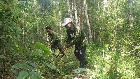 Điều chỉnh kế hoạch thu, chi tiền dịch vụ môi trường rừng tại tỉnh Đắk Nông