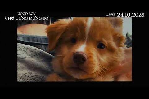 <a href="/san-pham-dich-vu/video" title="Video" rel="dofollow">Video </a>