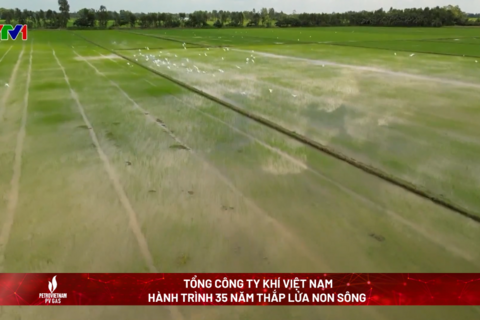 <a href="/san-pham-dich-vu/video" title="Video" rel="dofollow">Video </a>