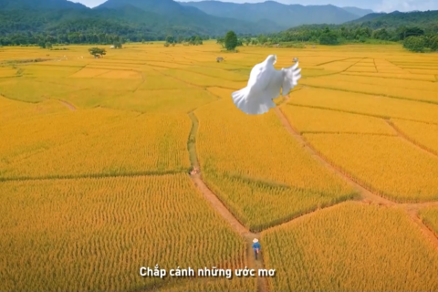 <a href="/san-pham-dich-vu/video" title="Video" rel="dofollow">Video </a>