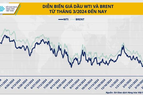 Giá dầu và tình thế tiến thoái lưỡng nan của OPEC