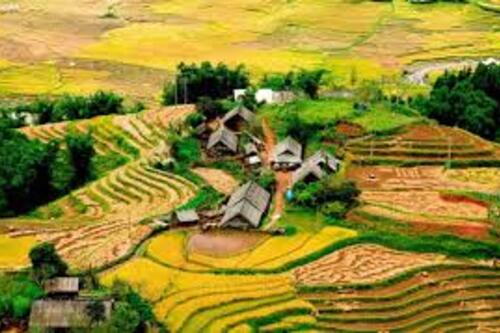 Hiệu quả từ mô hình du lịch nông nghiệp hữu cơ gắn với bảo tồn văn hóa bản địa