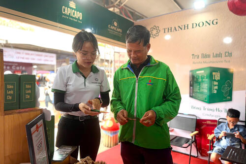 <a href="/phat-trien-ben-vung" title="Phát triển bền vững" rel="dofollow">Phát triển bền vững</a>