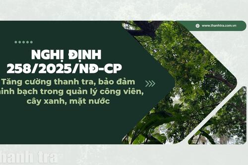 Tăng cường thanh tra, bảo đảm minh bạch trong quản lý công viên, cây xanh, mặt nước