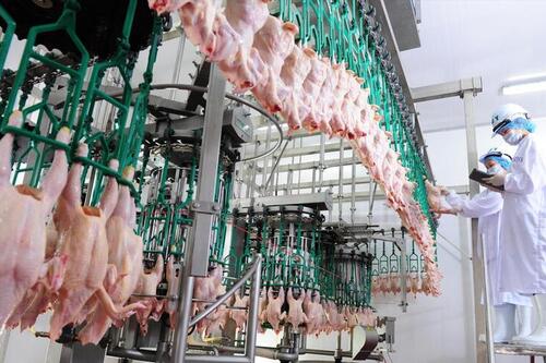 Xuất khẩu sản phẩm chăn nuôi Việt Nam dự kiến vượt 600 triệu USD