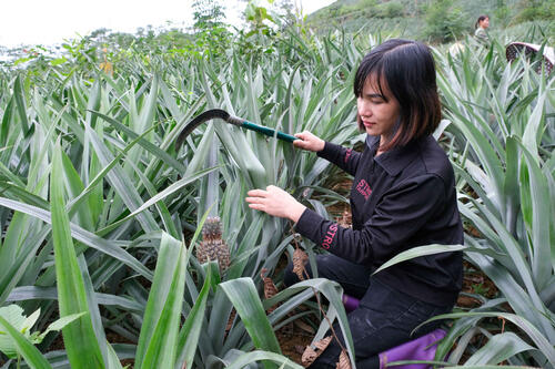 <a href="/phat-trien-ben-vung" title="Phát triển bền vững" rel="dofollow">Phát triển bền vững</a>