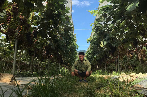 <a href="/phat-trien-ben-vung" title="Phát triển bền vững" rel="dofollow">Phát triển bền vững</a>