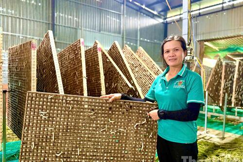 <a href="/phat-trien-ben-vung" title="Phát triển bền vững" rel="dofollow">Phát triển bền vững</a>