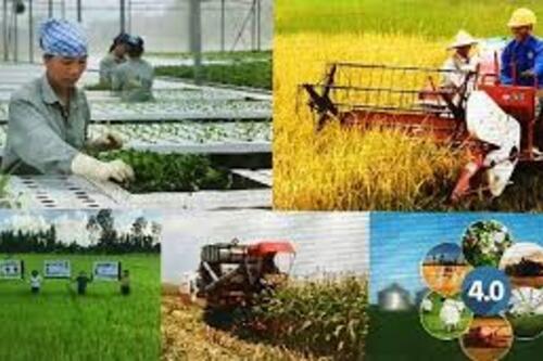 Phát huy vai trò chủ thể, trung tâm của nông dân trong phát triển kinh tế nông thôn