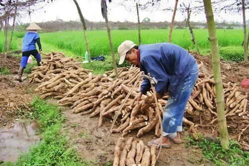 <a href="/nang-luong-xanh" title="Năng lượng xanh" rel="dofollow">Năng lượng xanh</a>