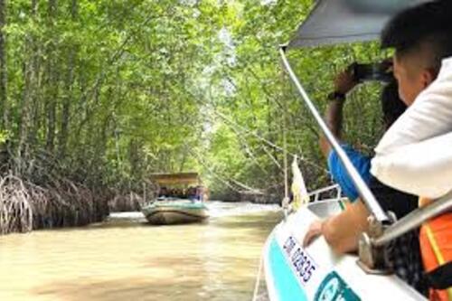 Cà Mau quảng bá toàn diện để đạt mục tiêu đón 8 triệu lượt khách du lịch