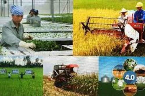 Chuyển đổi tư duy sản xuất kinh tế nông nghiệp, phát triển bền vững