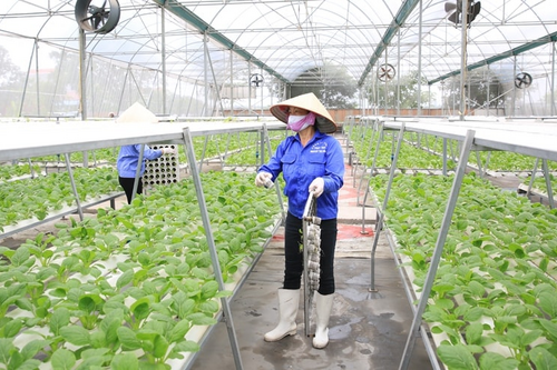 <a href="/phat-trien-ben-vung" title="Phát triển bền vững" rel="dofollow">Phát triển bền vững</a>