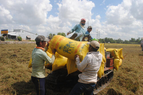 <a href="/trai-dat-xanh" title="Trái đất xanh" rel="dofollow">Trái đất xanh</a>