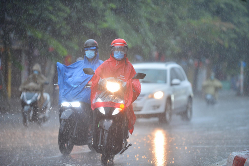 <a href="/trai-dat-xanh" title="Trái đất xanh" rel="dofollow">Trái đất xanh</a>