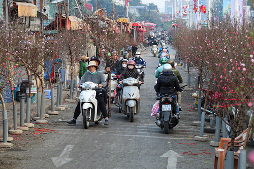 <a href="/trai-dat-xanh" title="Trái đất xanh" rel="dofollow">Trái đất xanh</a>