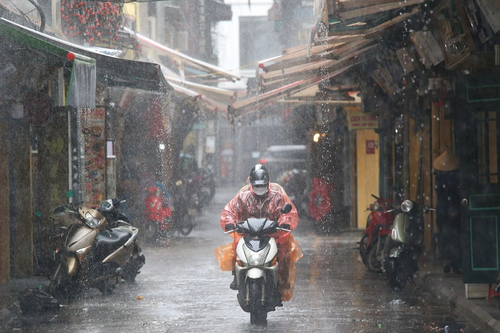 <a href="/trai-dat-xanh" title="Trái đất xanh" rel="dofollow">Trái đất xanh</a>