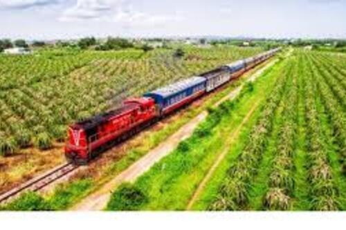 Lâm Đồng phát triển nhiều tour du lịch bằng đường bộ