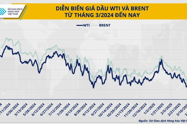 Giá dầu và tình thế tiến thoái lưỡng nan của OPEC