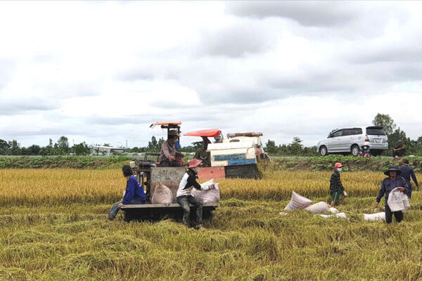 Chuyển đổi 'lấy nông dân làm trọng tâm' giúp tăng hiệu quả sản xuất