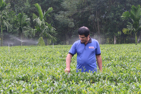 Vay vốn giải quyết việc làm: Động lực thúc đẩy sinh kế bền vững