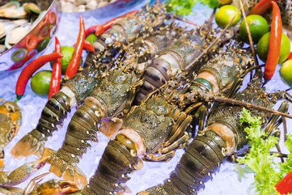 10 tháng, xuất khẩu tôm hùm Việt Nam đạt kỷ lục 712 triệu USD