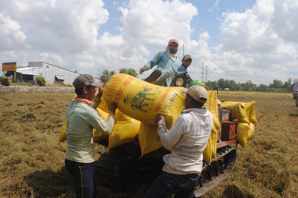Đồng Tháp nâng cao năng lực cho hợp tác xã trước thách thức biến đổi khí hậu