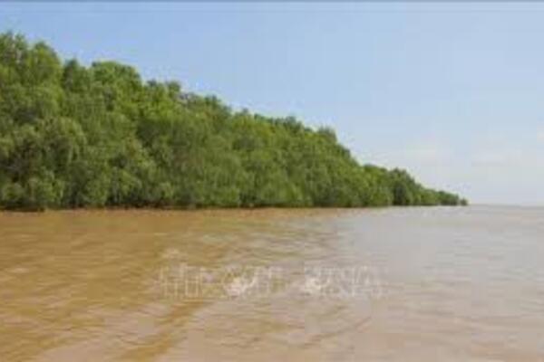 Đánh thức tiềm năng “viên ngọc xanh” nơi hạ lưu sông Hậu