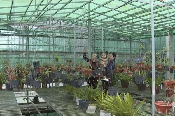 Xây dựng phường Ba Đồn thành cực tăng trưởng phía Bắc tỉnh Quảng Trị