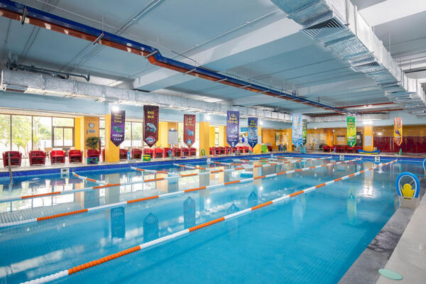 Đưa bơi sinh tồn đến trẻ em Việt Nam