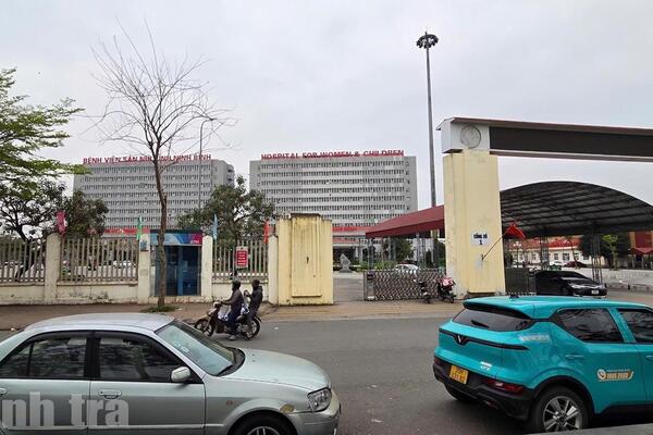 Ninh Bình: 280 tỷ đồng được bố trí xử lý nợ đọng Dự án Đê Hữu sông Đáy theo kết luận của Thanh tra Chính phủ