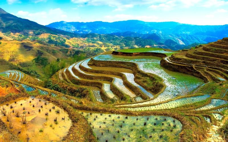 Vẻ đẹp của ruộng bậc thang vùng Cordillera