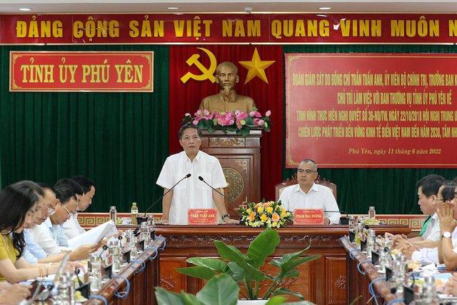 Phú Yên: Phát triển dịch vụ du lịch hài hoà với công nghiệp, nông nghiệp - Ảnh 2.