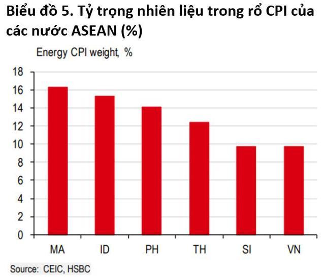 Lạm phát nhiên liệu của Việt Nam cao hay thấp so với các nước trong khu vực? - Ảnh 1.