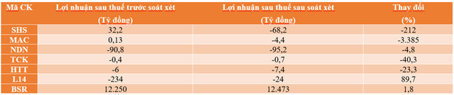 Nhiều doanh nghiệp đổi màu lỗ, lãi sau soát xét - Ảnh 1.