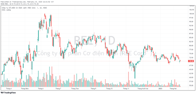 Lập kỷ lục lợi nhuận năm 2023, kỳ vọng nào cho REE trong những năm tới? - Ảnh 2.