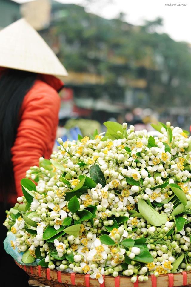 Món ăn thanh cảnh của người Hà Nội: Đặc sản tháng 3 mang hương vị thơm ngát không phải ai cũng biết đến - Ảnh 3.