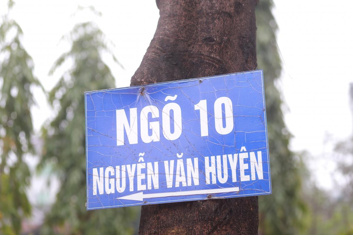 Hàng loạt cây xanh ở Hà Nội bị đóng đinh đang “kêu cứu” - Ảnh 9.