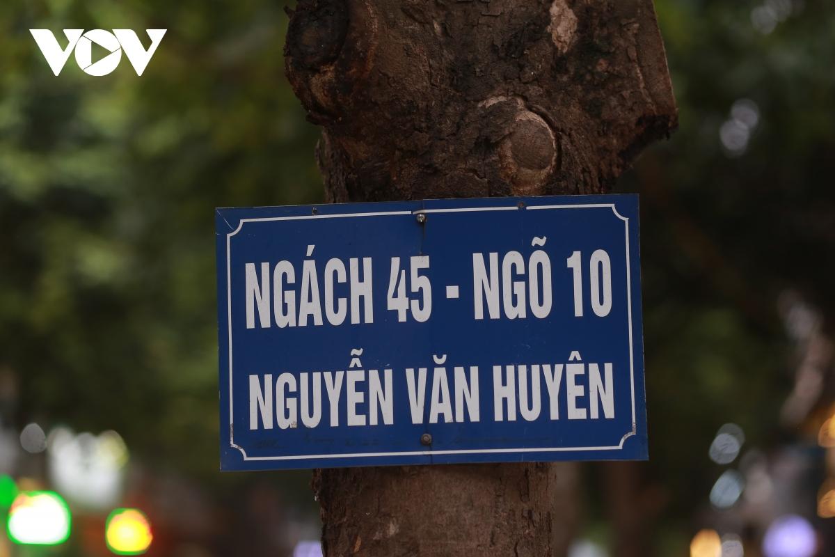 Hàng loạt cây xanh ở Hà Nội bị đóng đinh đang “kêu cứu” - Ảnh 4.