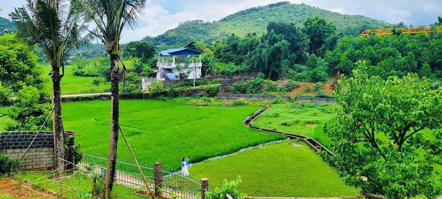 Nửa năm rời phố về làng sống như một giấc mơ của gia đình nhỏ, nơi những đứa trẻ mê tít chẳng muốn về - Ảnh 2.