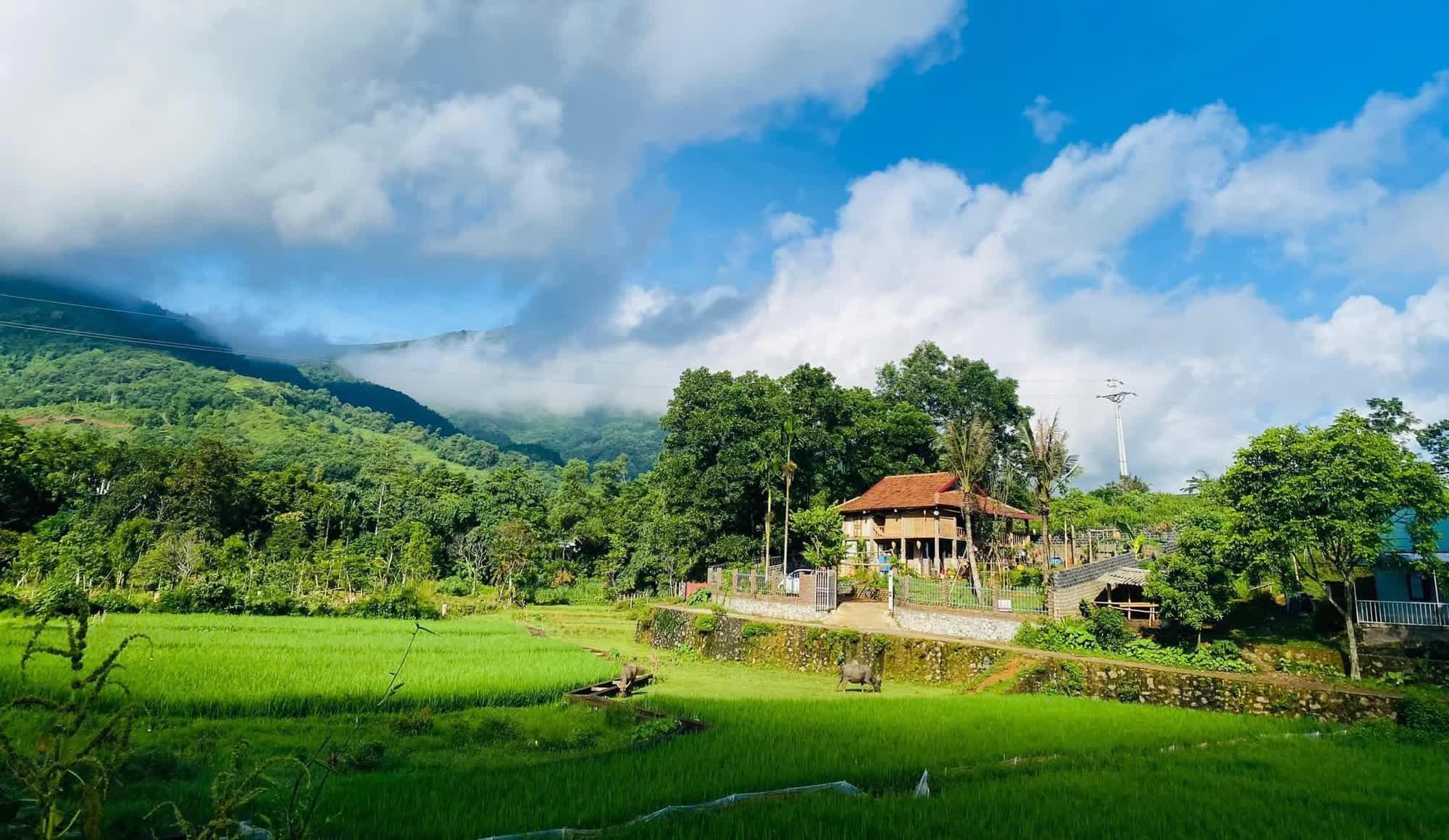 Nửa năm rời phố về làng sống như một giấc mơ của gia đình nhỏ, nơi những đứa trẻ mê tít chẳng muốn về - Ảnh 1.