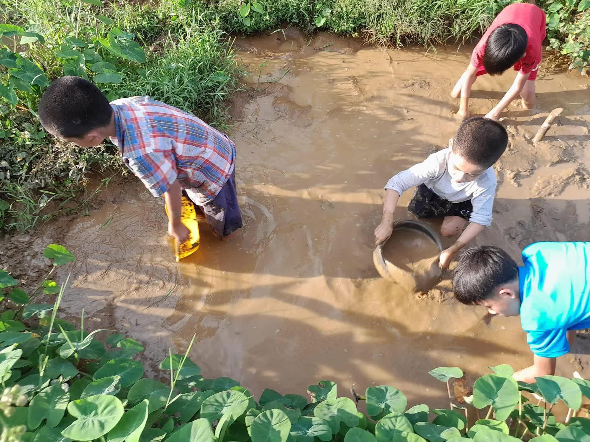 Nửa năm rời phố về làng sống như một giấc mơ của gia đình nhỏ, nơi những đứa trẻ mê tít chẳng muốn về - Ảnh 5.