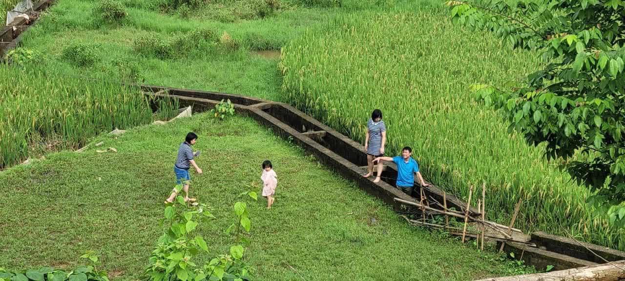 Nửa năm rời phố về làng sống như một giấc mơ của gia đình nhỏ, nơi những đứa trẻ mê tít chẳng muốn về - Ảnh 3.