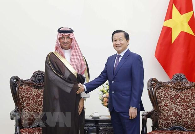 Viet Nam coi trong tang cuong hop tac nhieu mat voi Saudi Arabia hinh anh 1