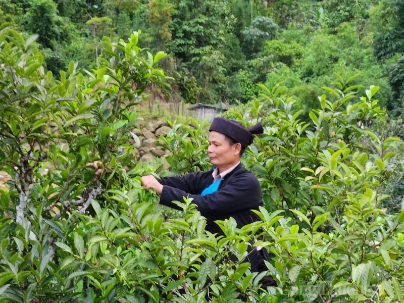 Phát huy chính sách dân tộc trong phát triển kinh tế tại Hà Giang