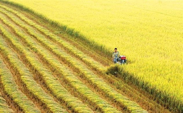 Phát triển bền vững ngành hàng 22 tỷ đô, thúc đẩy bảo vệ cây trồng bằng sản phẩm sinh học - Ảnh 1.